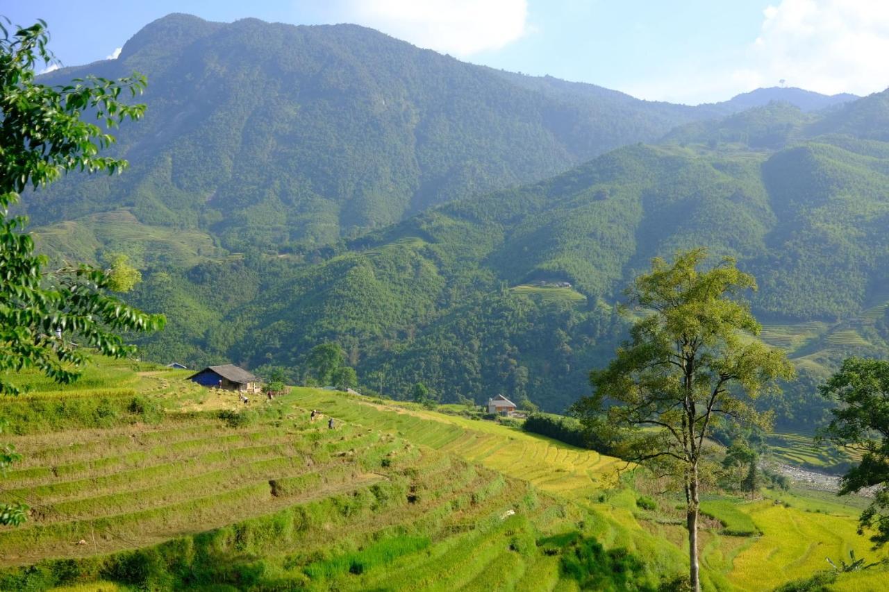 Sapa Hmong Bungalow Homestay Eksteriør billede
