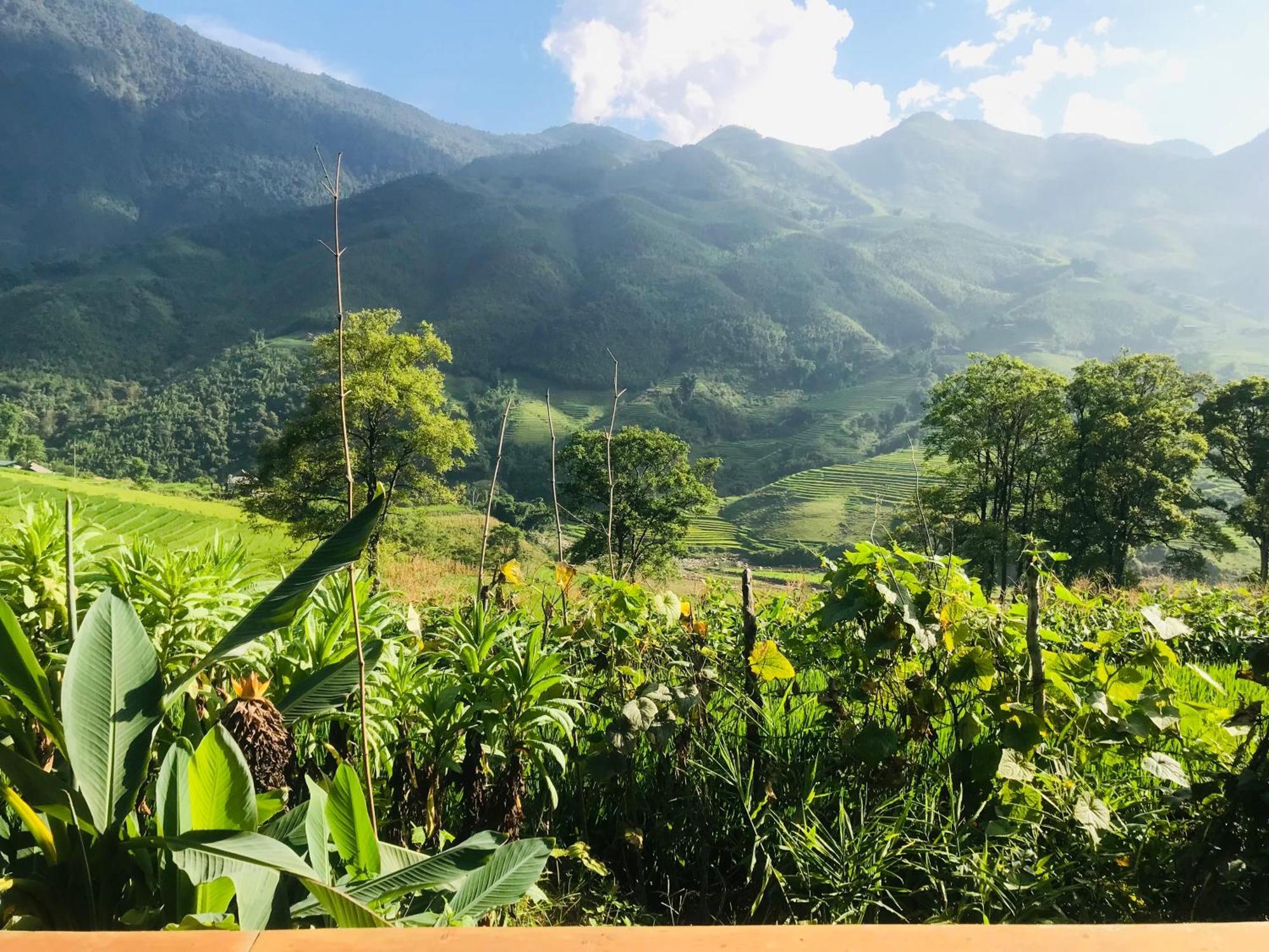 Sapa Hmong Bungalow Homestay Værelse billede