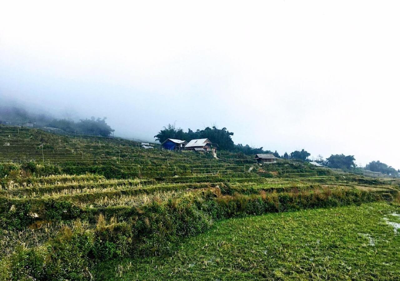 Sapa Hmong Bungalow Homestay Eksteriør billede